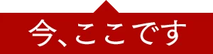 今、ここです